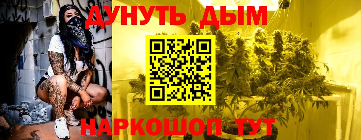 Канабис OG Kush Полысаево